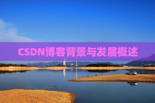 CSDN博客背景与发展概述